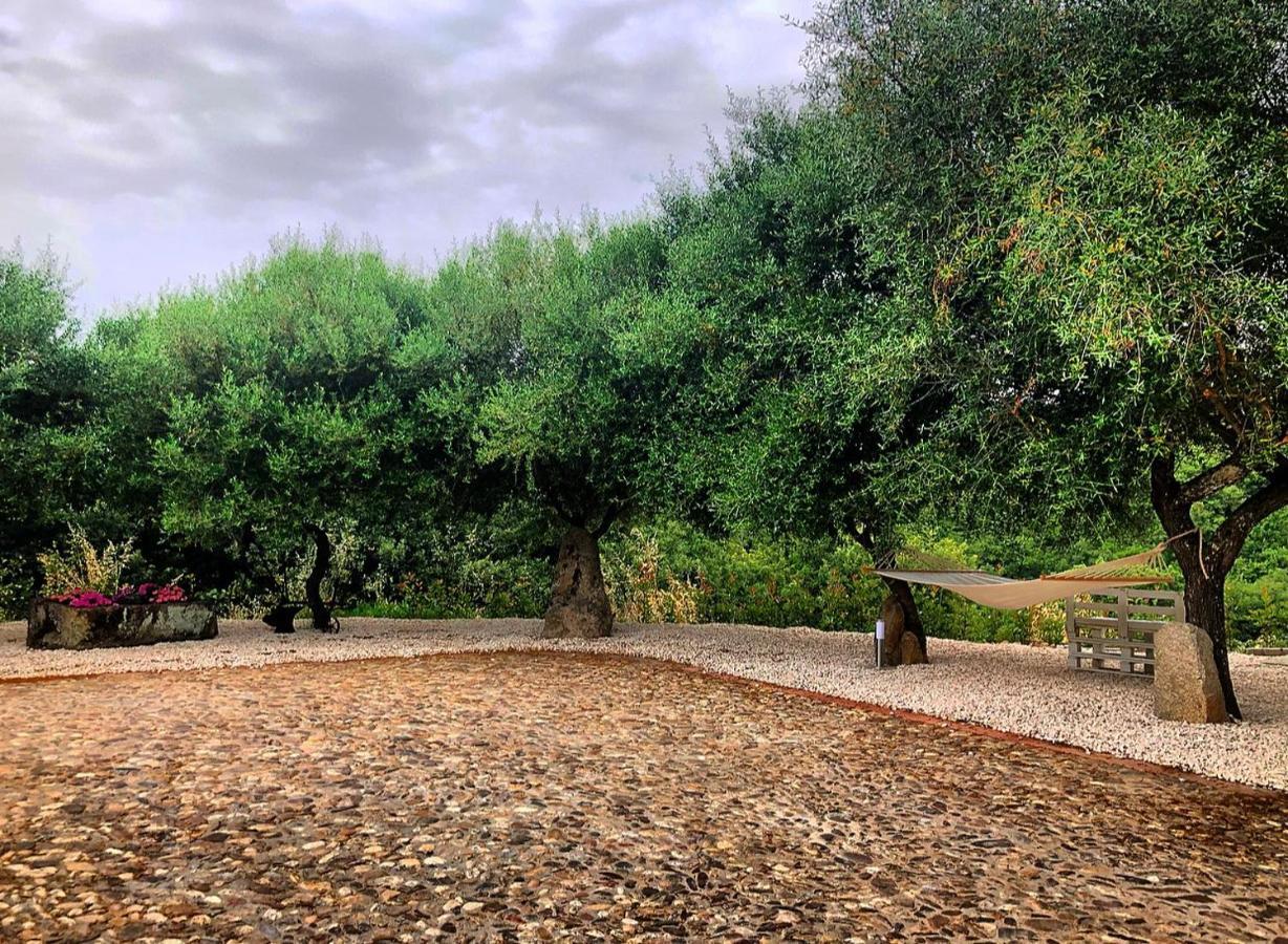 B&B Casa Vacanza Centro Sardegna Sorgono Bagian luar foto