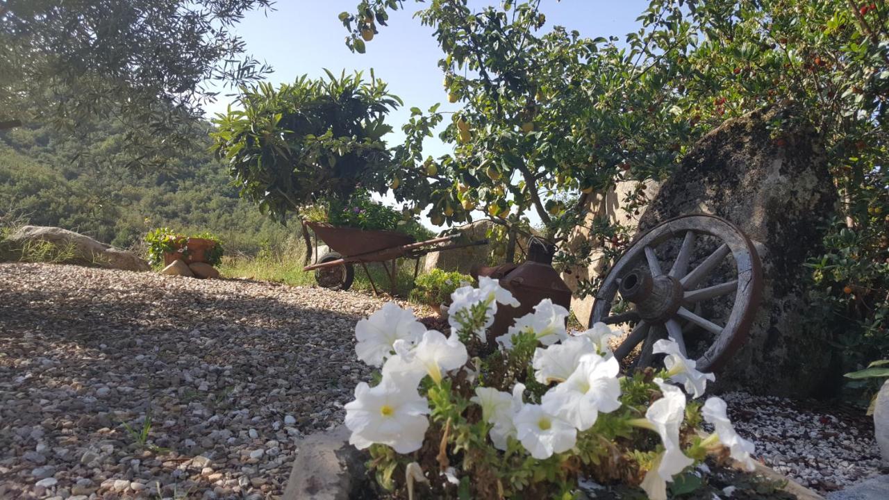 B&B Casa Vacanza Centro Sardegna Sorgono Bagian luar foto
