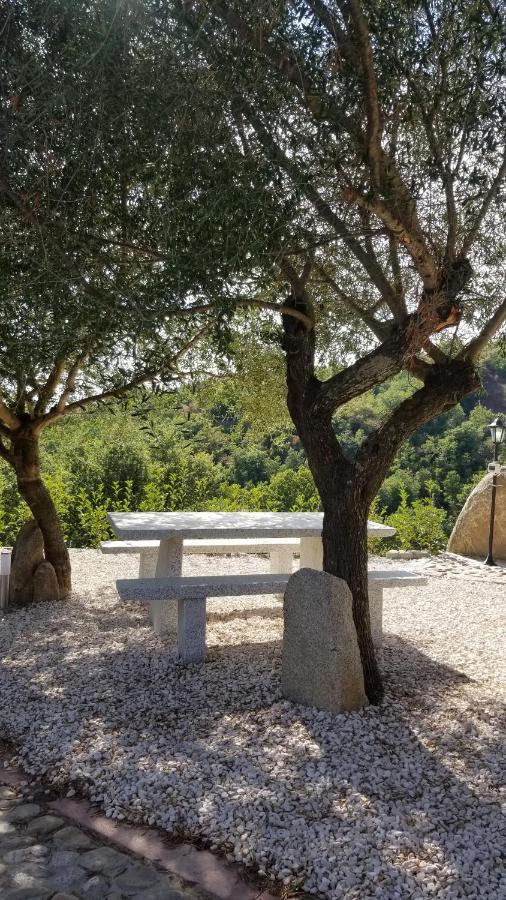 B&B Casa Vacanza Centro Sardegna Sorgono Bagian luar foto