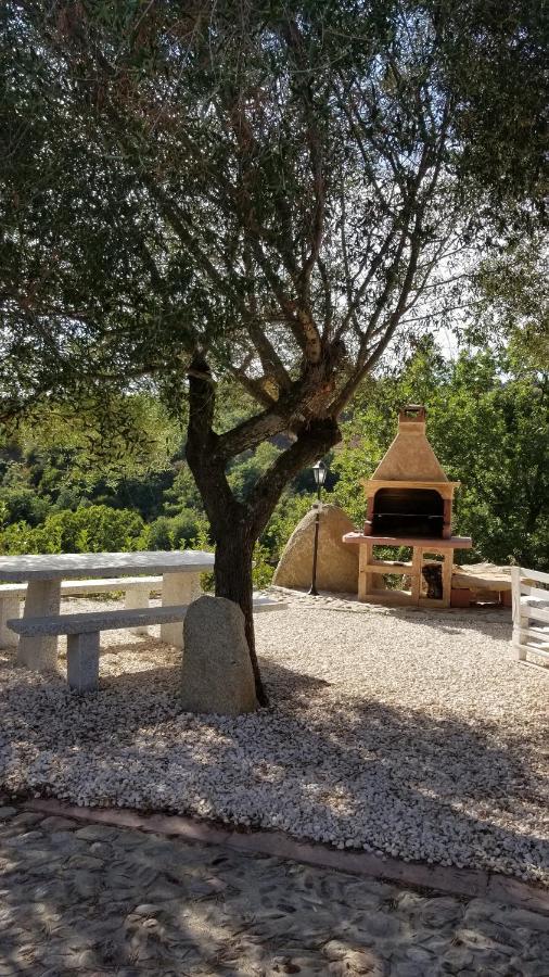 B&B Casa Vacanza Centro Sardegna Sorgono Bagian luar foto