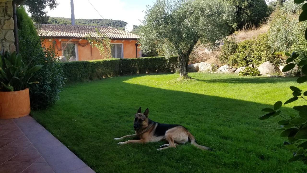 B&B Casa Vacanza Centro Sardegna Sorgono Bagian luar foto